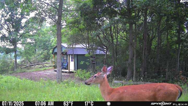 One of Dawn's buddies visiting.