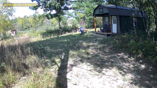 The deer cam on a beautiful Sunday afternoon.